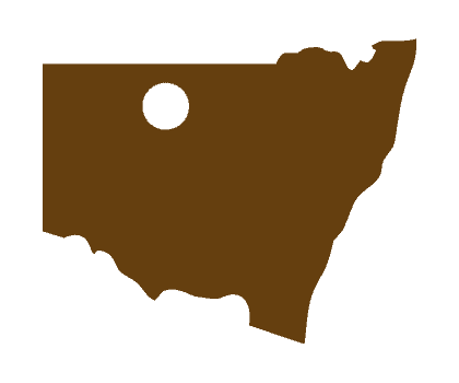 New-England-North-Western-NSW-Region-Icon