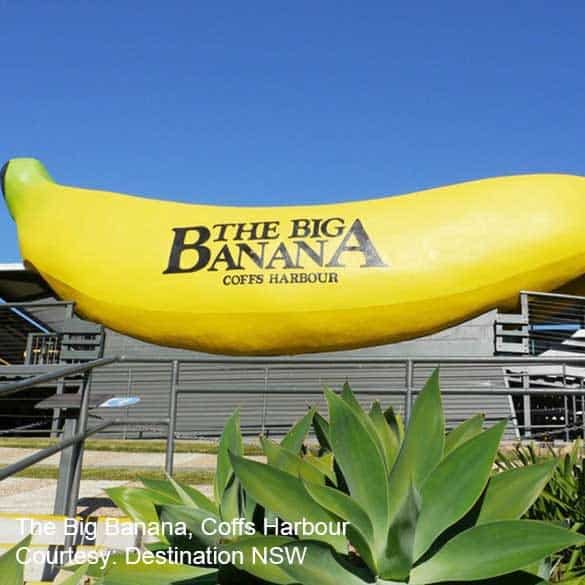 Coffs Coast Clarence Coast The Big Banana