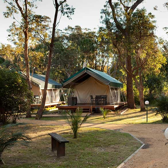 Safari-Tents-3 Holiday Parks Safari Tents- Caravan Camping NSW