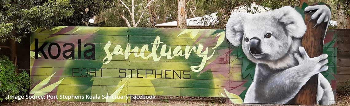 Port Stephens Koala Sanctuary now open | Best Caravan Camping NSW
