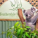 Featherdale Wildlife Park Sydney Greater Sydney Region NSW