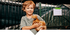Boy holding a chicken at the Petting Zoo