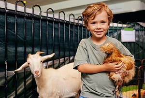 Boy holding a chicken standing beside a goat at the petting zoo