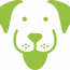 show-dog-icon-green