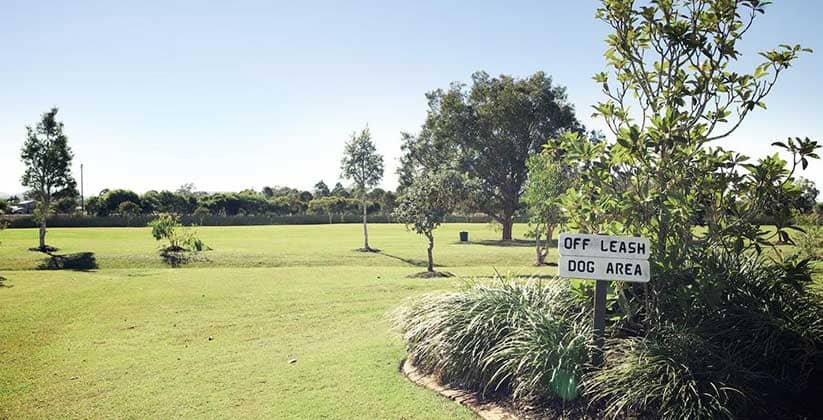 Open park lands for pets to be off their leash
